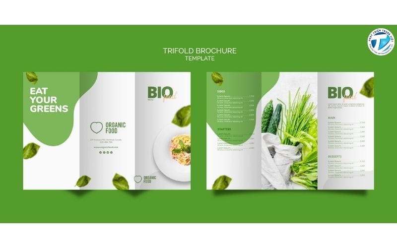 Thiết kế tờ gấp cần chọn bố cục và màu sắc hài hòa